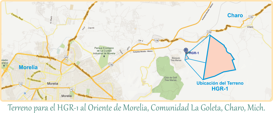 contenedornuevo